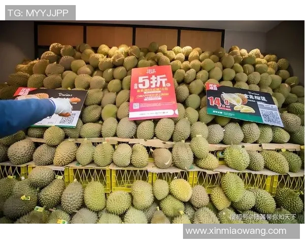 足球消费真相揭秘让你了解这项运动背后的高昂费用与投资回报